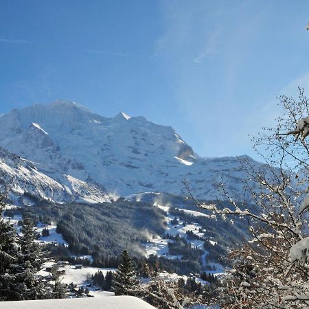 Apartment Bergfrieden By Interhome Wengen Luaran gambar